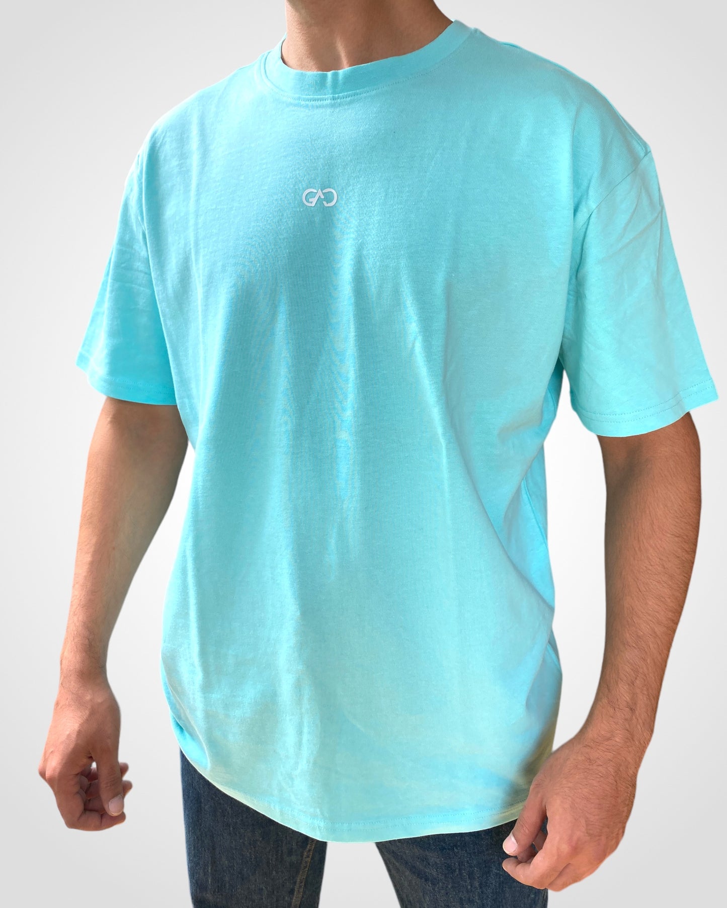 Legacy Heavy T-shirt in Mint