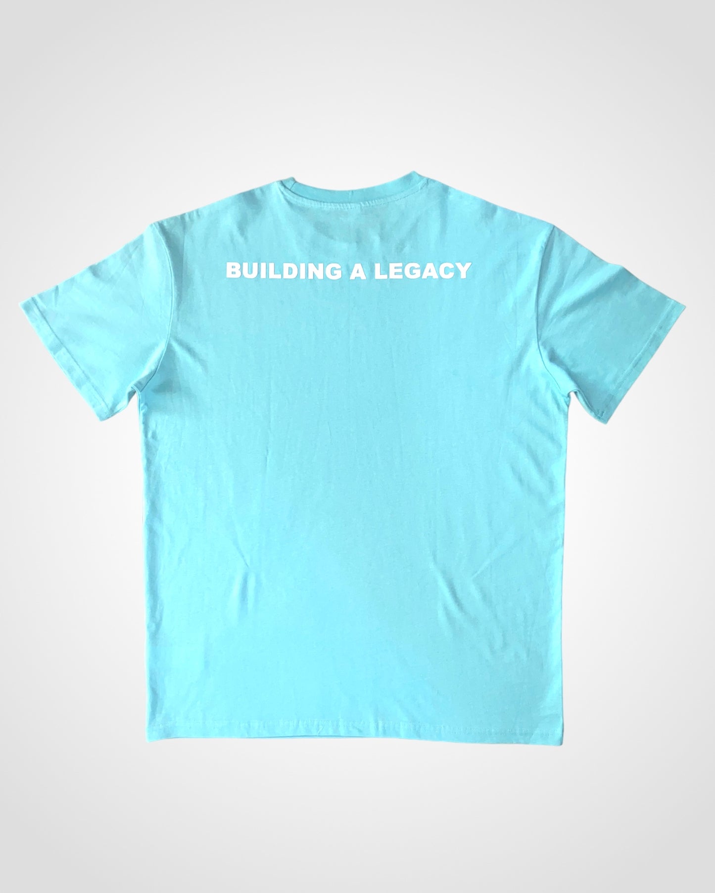 Legacy Heavy T-shirt in Mint